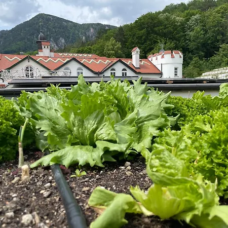 Waldschloessl Schneedoerfl