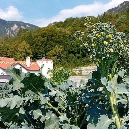 Waldschloessl Schneedoerfl Apartahotel 3*