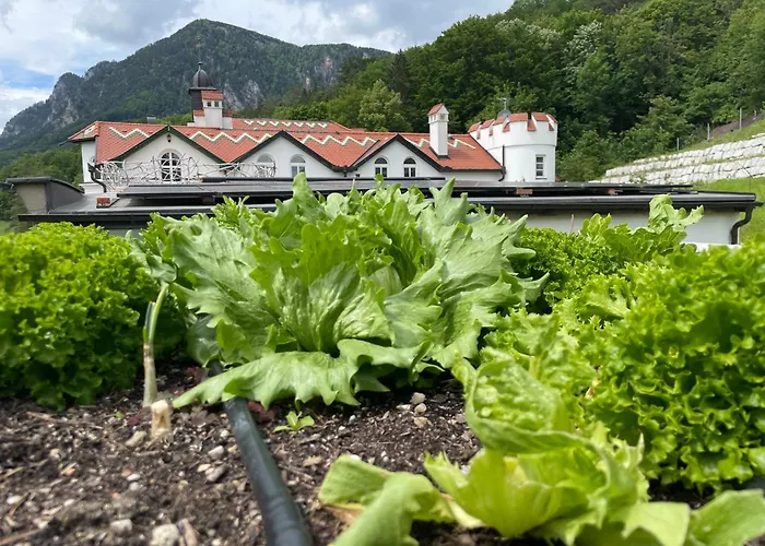 Waldschloessl Schneedoerfl
