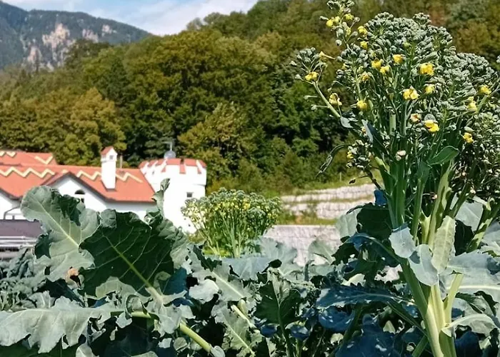 Waldschloessl Schneedoerfl Lejlighedshotel 3*